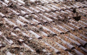 Castlehill roof cleaning companies